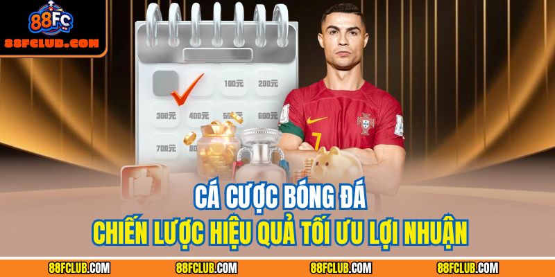 Cá Cược Bóng Đá