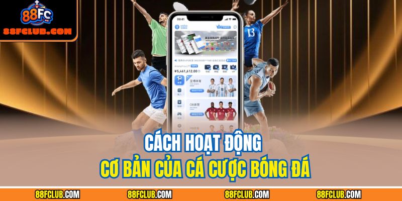 Cách hoạt động cơ bản của cá cược bóng đá