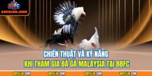 Đá gà Malaysia