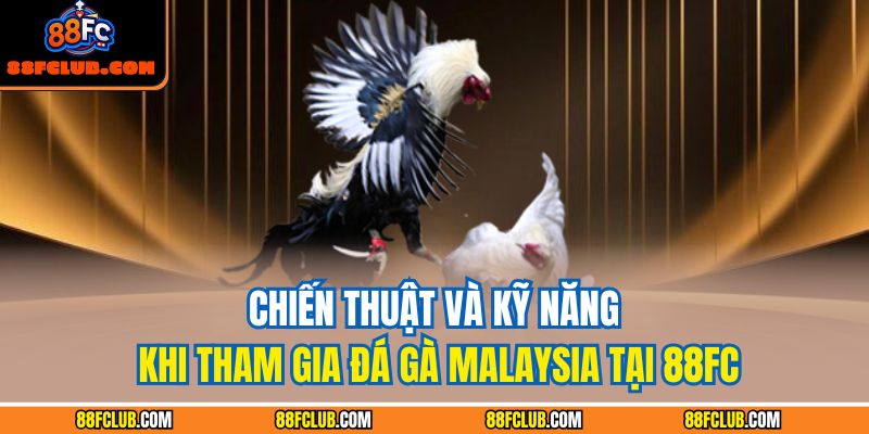 Đá gà Malaysia