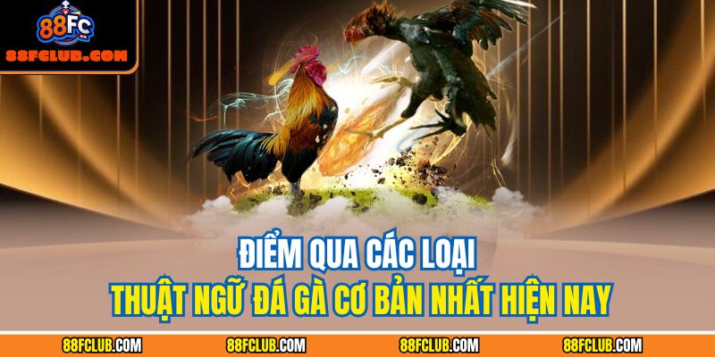 Điểm qua các laoị thuật ngữ đá gà cơ bản nhất hiện nay