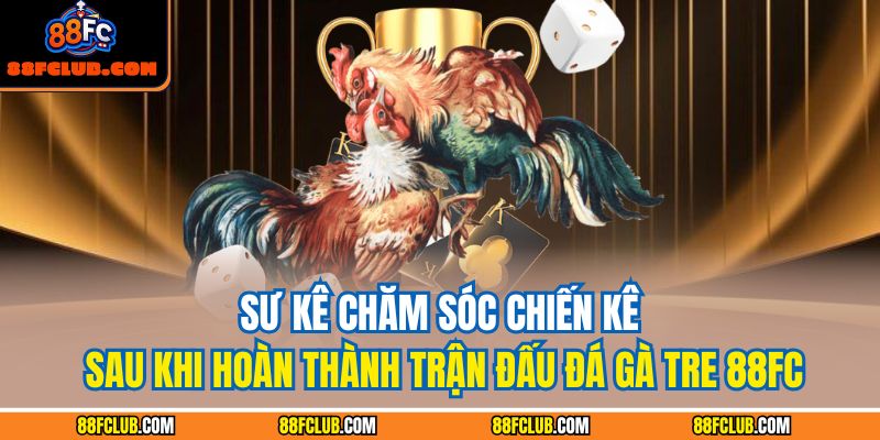 Sư kê chăm sóc chiến kê sau khi hoàn thành trận đấu đá gà tre 88FC