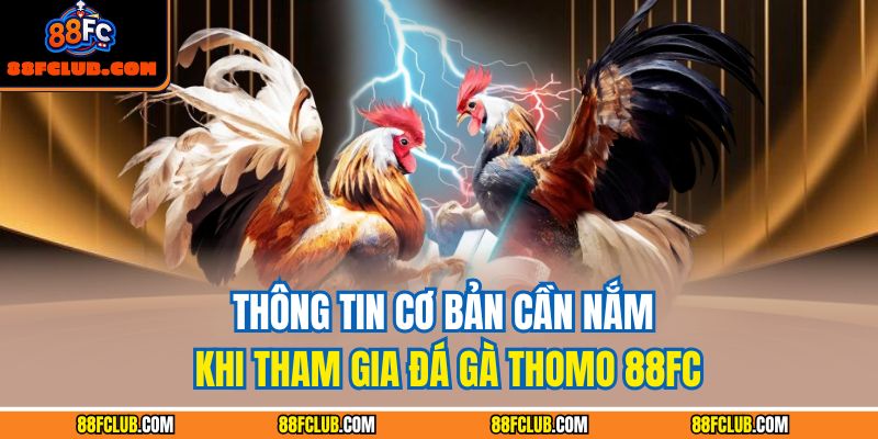 Thông tin cơ bản cần nắm khi tham gia đá gà Thomo 88FC