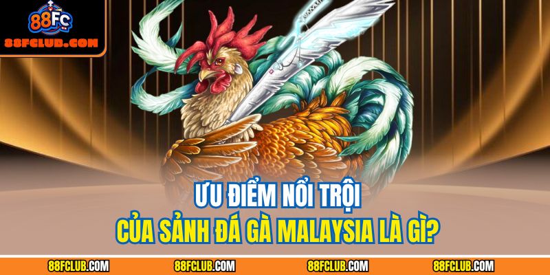 Ưu điểm nổi trội của sảnh đá gà Malaysia là gì?