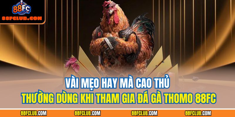 Vài mẹo hay mà cao thủ thường dùng khi tham gia đá gà Thomo 88FC